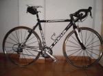 DSCN1989p.GIF