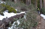 DSC_0116.JPG