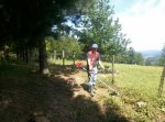 uploadfromtaptalk1401999856566.jpg
