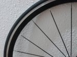 20140607_134955.jpg