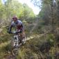 P1010114_85_cw85_ch85_thumb.jpg