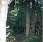 5 (Small).jpg