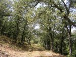 DSCN1584.JPG