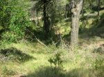 DSCN0983.JPG