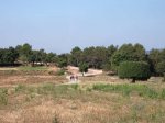IMGP3456.JPG