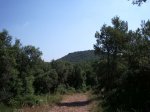 IMGP3469.JPG