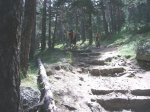 P0000121_redimensionar.jpg