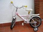 DSCN5513.JPG