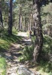 20140608_114303.jpg