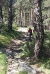 20140608_114308.jpg