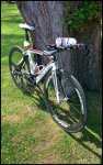KUOTA KULT (2).JPG