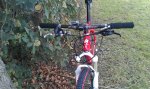IMAG0528.jpg