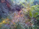IMG_20140611_200743.jpg