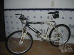 bici zeus.jpg