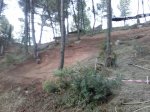 CAM00233.jpg