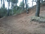 CAM00238.jpg