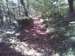 IMG_20140612_183356.jpg