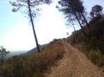 Imagen3012.jpg