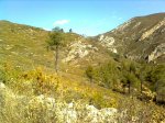 Imagen3013.jpg