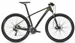 focus raven ltd 30g xt.jpg