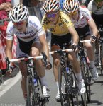 vos_livgiant.jpg
