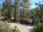 DSC02012.JPG