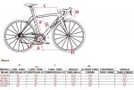 geometria racing oficial wilier.jpg