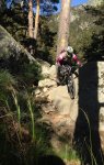 paso pr-5.JPG