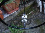 DSC01814.JPG
