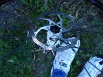 DSC01817.JPG