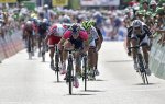 suisse14st5_sprint.jpg