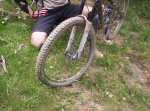 100_1173 (Medium).jpg