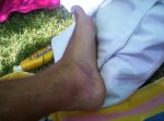 100_1318.JPG