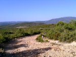 Imagen031.jpg