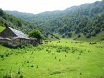 BraÃ±agallones--junio-07-021.jpg
