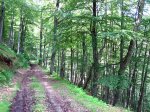 BraÃ±agallones--junio-07-027.jpg