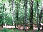 BraÃ±agallones--junio-07-028.jpg