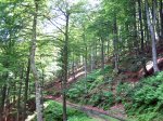 BraÃ±agallones--junio-07-042.jpg