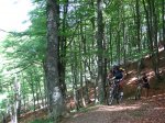 BraÃ±agallones--junio-07-047.jpg