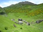 BraÃ±agallones--junio-07-052.jpg