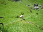 BraÃ±agallones--junio-07-053.jpg