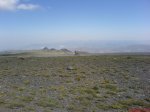 DSC00619.jpg