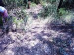 Imagen061.jpg