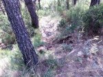 Imagen065.jpg
