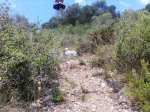 Imagen053.jpg