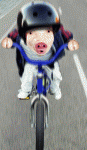 cerditobici.gif