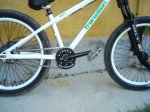 DSC00296.JPG