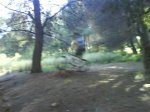 DSC00603.JPG