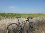 20140619_165717.jpg