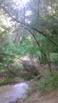 DSC_0072.JPG